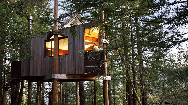 9 Exceptional Treehouse Hotels Across the U.S. for Unforgettable Stays